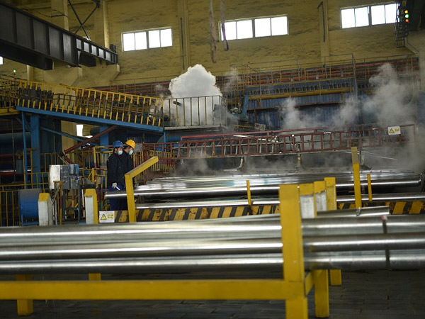 Workshop